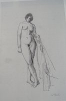 nudebtisdes12